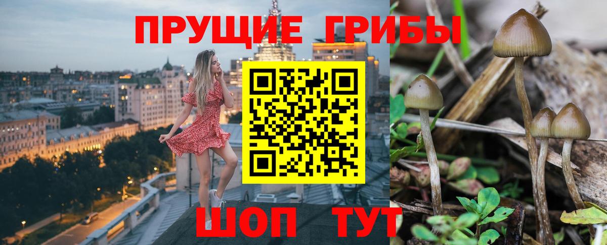 Надым  Псилоцибиновые грибы Magic Shrooms  Вход с VPN  Галлюциногенные грибы прущие грибы 